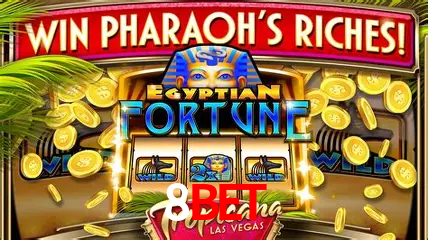 Cassino ao vivo com dealers reais na 8BET